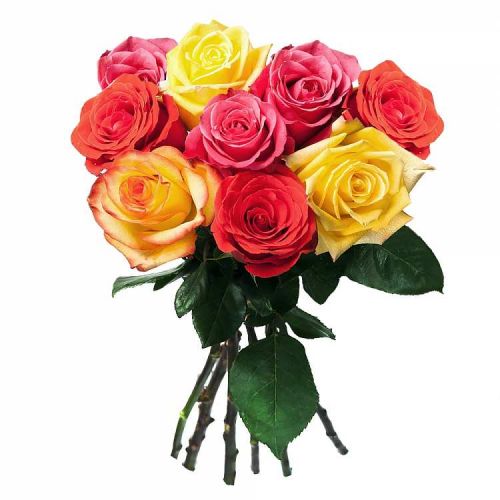Заказать с доставкой 9 разноцветных роз по Балахне